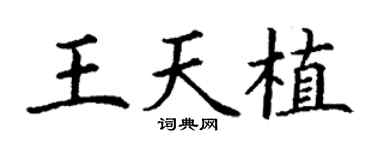 丁謙王天植楷書個性簽名怎么寫
