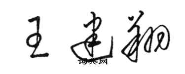 駱恆光王建翔草書個性簽名怎么寫