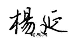 王正良楊延行書個性簽名怎么寫