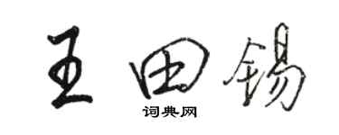 駱恆光王田錫行書個性簽名怎么寫