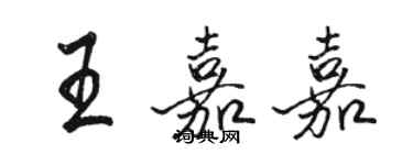 駱恆光王嘉嘉行書個性簽名怎么寫