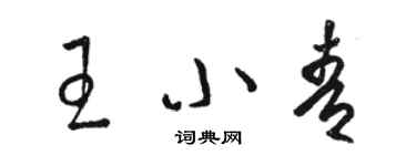 駱恆光王小青草書個性簽名怎么寫