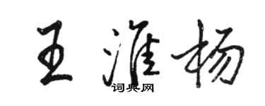 駱恆光王淮楊行書個性簽名怎么寫