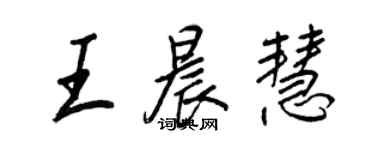 王正良王晨慧行書個性簽名怎么寫