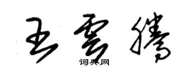 朱錫榮王雲騰草書個性簽名怎么寫