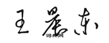 駱恆光王晨東草書個性簽名怎么寫