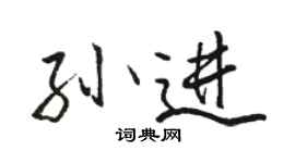 駱恆光孫進行書個性簽名怎么寫