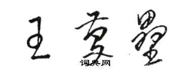 駱恆光王慶壘草書個性簽名怎么寫