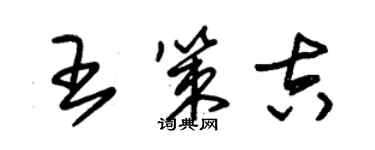 朱錫榮王策吉草書個性簽名怎么寫