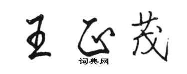 駱恆光王正茂行書個性簽名怎么寫