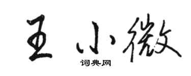 駱恆光王小微行書個性簽名怎么寫