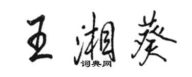 駱恆光王湘葵行書個性簽名怎么寫