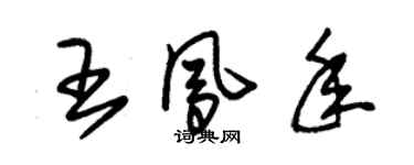 朱錫榮王鳳年草書個性簽名怎么寫