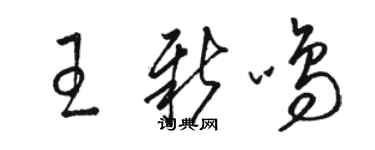 駱恆光王新鳴草書個性簽名怎么寫