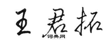 駱恆光王君拓行書個性簽名怎么寫
