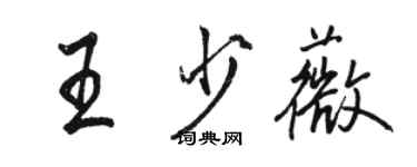 駱恆光王少薇行書個性簽名怎么寫