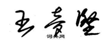 朱錫榮王夢堅草書個性簽名怎么寫