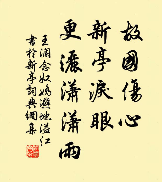 王瀾故國傷心,新亭淚眼,更灑瀟瀟雨。書法作品欣賞