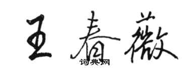 駱恆光王春薇行書個性簽名怎么寫
