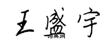 王正良王盛宇行書個性簽名怎么寫