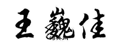 胡問遂王巍佳行書個性簽名怎么寫