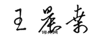 駱恆光王晨桑草書個性簽名怎么寫