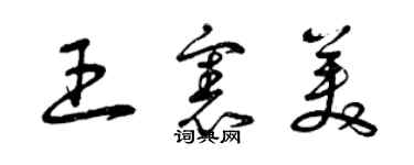 曾慶福王憲美草書個性簽名怎么寫