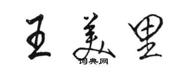 駱恆光王美里行書個性簽名怎么寫