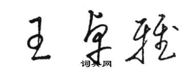 駱恆光王卓雅草書個性簽名怎么寫