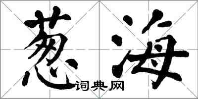 翁闓運蔥海楷書怎么寫