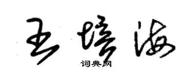 朱錫榮王培海草書個性簽名怎么寫