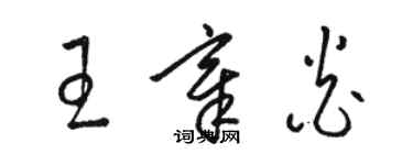 駱恆光王章炎草書個性簽名怎么寫