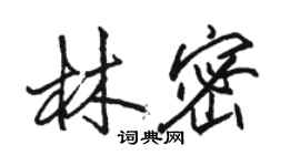 駱恆光林密行書個性簽名怎么寫
