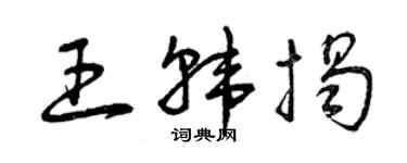 曾慶福王韓揭草書個性簽名怎么寫