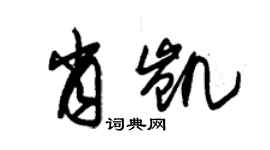 朱錫榮肖凱草書個性簽名怎么寫