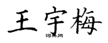 丁謙王宇梅楷書個性簽名怎么寫