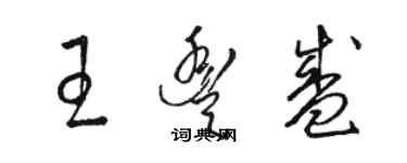 駱恆光王豐盛草書個性簽名怎么寫