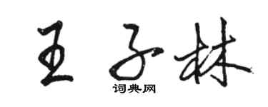 駱恆光王子林行書個性簽名怎么寫