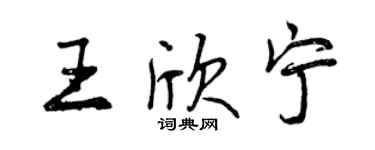 曾慶福王欣寧行書個性簽名怎么寫