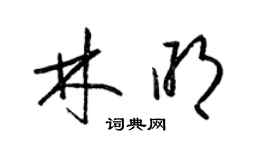 梁錦英林明草書個性簽名怎么寫