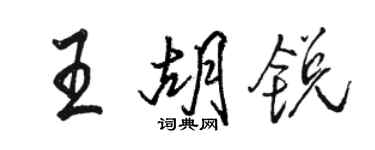 駱恆光王胡銳行書個性簽名怎么寫
