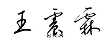 梁錦英王震霖草書個性簽名怎么寫