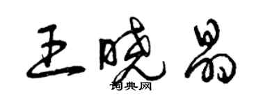 曾慶福王曉晶草書個性簽名怎么寫