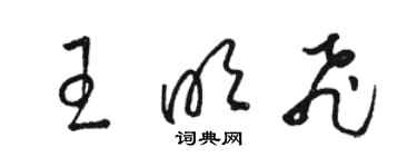 駱恆光王明飛草書個性簽名怎么寫