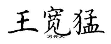 丁謙王寬猛楷書個性簽名怎么寫