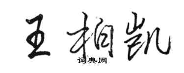 駱恆光王柏凱行書個性簽名怎么寫