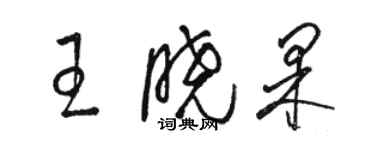 駱恆光王曉果草書個性簽名怎么寫