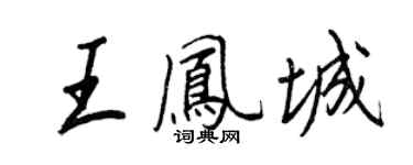 王正良王鳳城行書個性簽名怎么寫