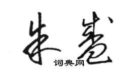 駱恆光朱盛草書個性簽名怎么寫