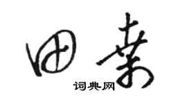 駱恆光田桑草書個性簽名怎么寫